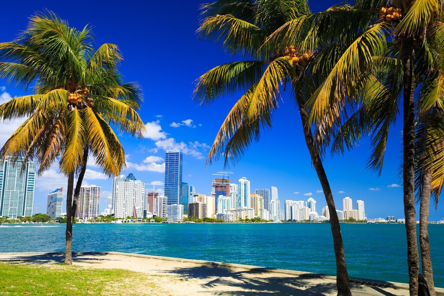 miami beach